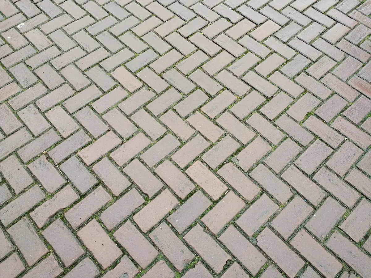 Model Paving Block Herringbone 45 Derajat